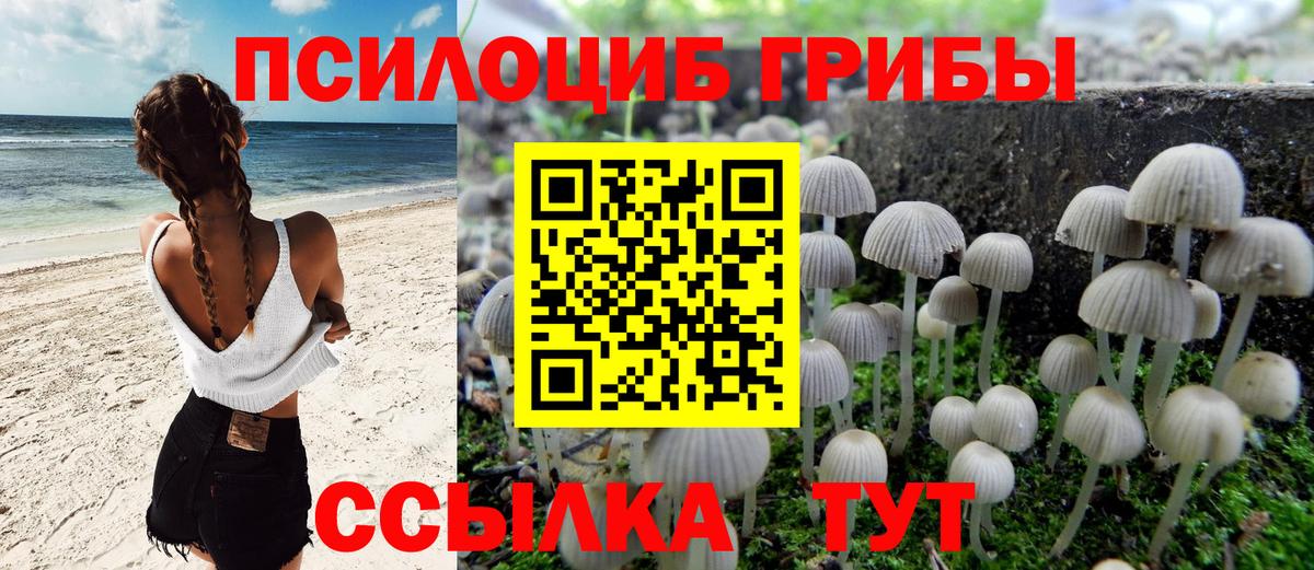Галлюциногенные грибы MAGIC MUSHROOMS Ангарск